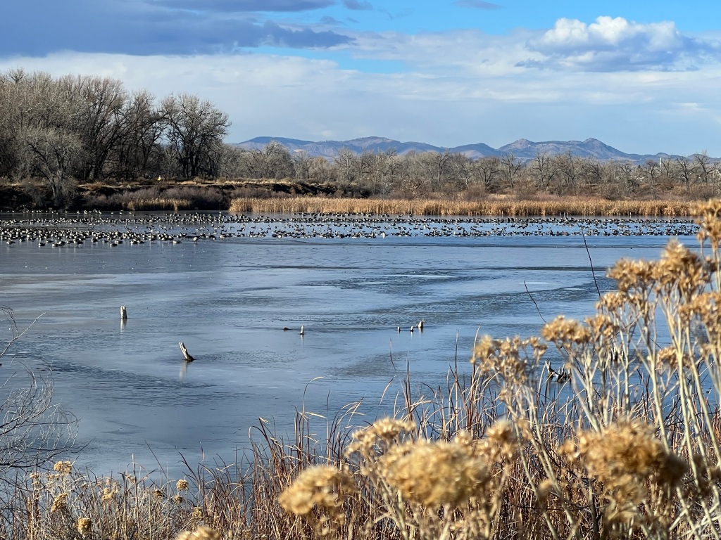 Riverbend Ponds Natural Area looking northwest on Jan. 1, 2024 by @KatValdezWriter